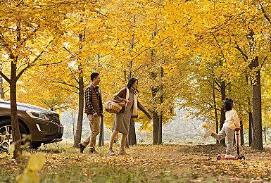 《最终幻想起源》制作人采访 职业动作重点等