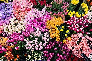 NS版《巫术外传：五个试炼》TGS新预告 2025年1月发售